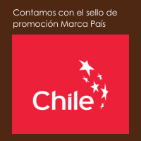 Productos artesanales chilenos hechos a mano y de excelente calidad | Witralun